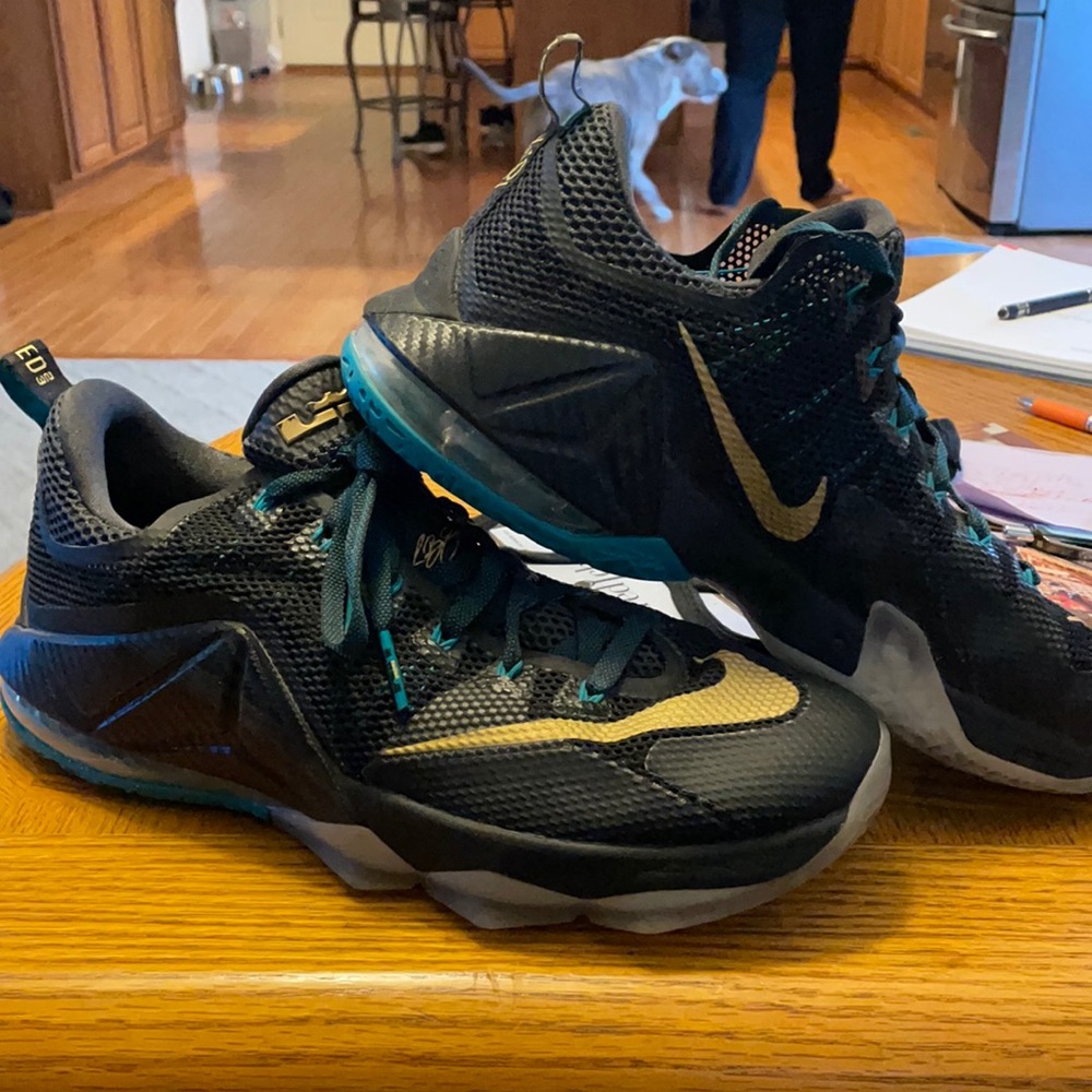 Lebron 12 Low SVSM series, light use